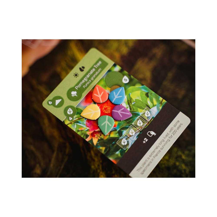 Earth: jeu de société stratégie | Achat en ligne Canada