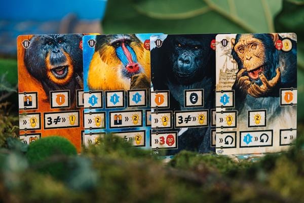 After Us (ML) JEUX - Stratégie - Stratégie léger