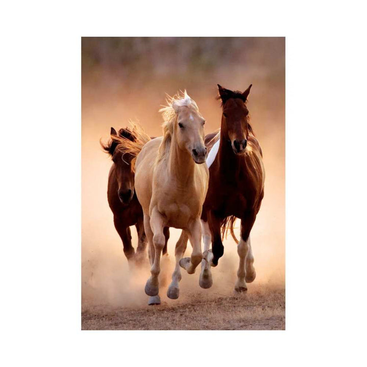 Chevaux de course (1000 pcs) CASSE-TÊTE - 1000 morceaux