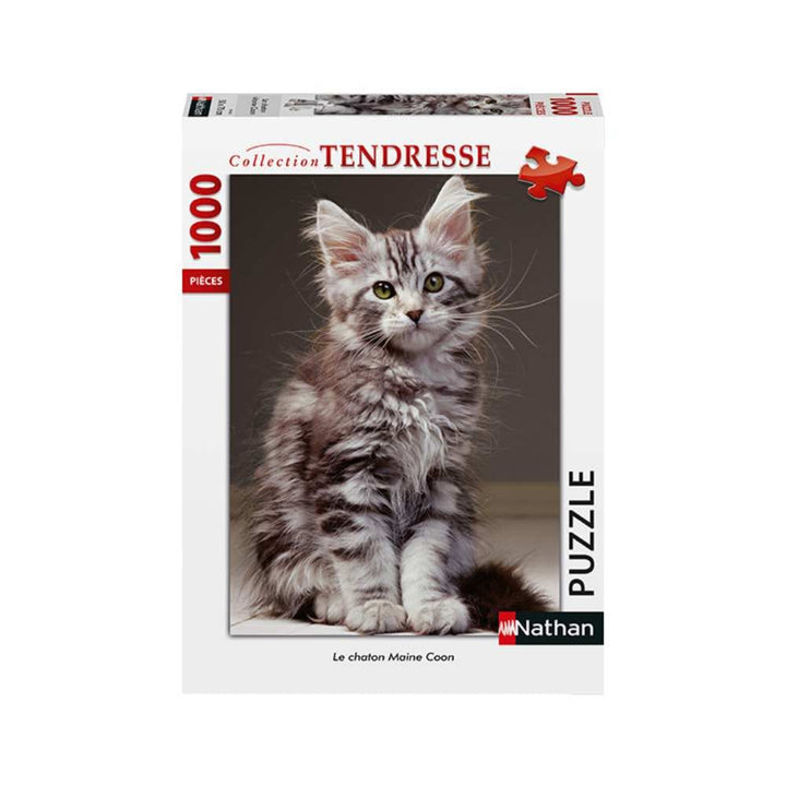 Le chaton Maine Coon (Puzzle 1000 pcs) CASSE-TÊTE - 1000 morceaux