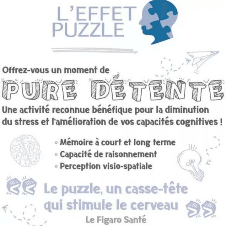 Les albums d'Astérix  (1000 pcs) CASSE-TÊTE - 1000 morceaux