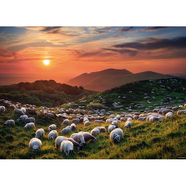 Sheep and Volcanoes, AVH (Puzzle 1000 pcs) CASSE-TÊTE - 1000 morceaux