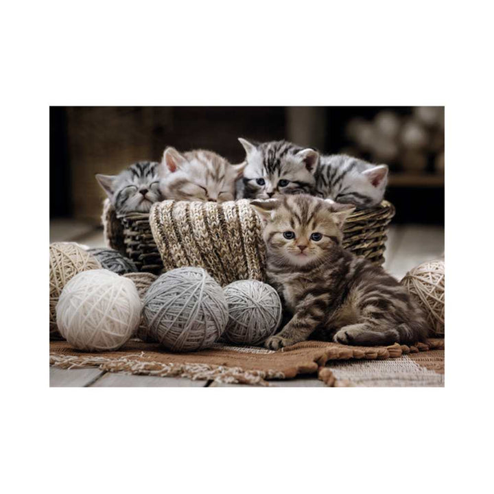 Boules de poils et pelotes de laine (Puzzle 1500 pcs) CASSE-TÊTE - 1500 morceaux