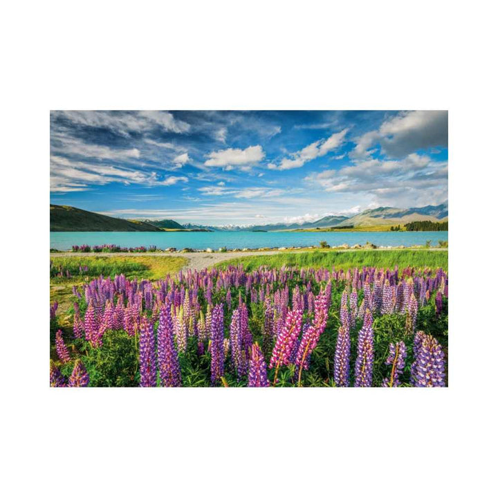 Lupins au lac Tekapo (1500 pcs) CASSE-TÊTE - 1500 morceaux