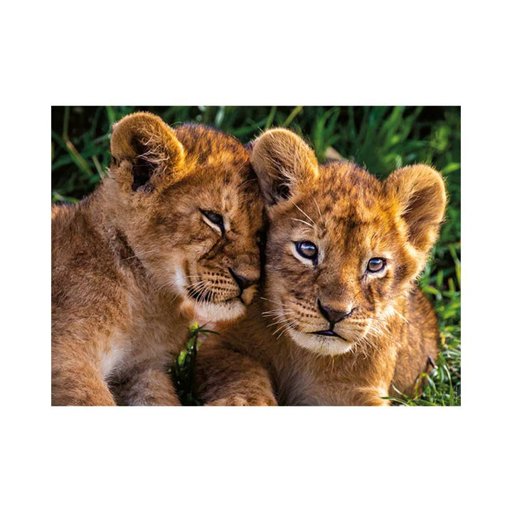 Adorables lionceaux (Puzzle 250 pcs) CASSE-TÊTE - 200 - 275 morceaux