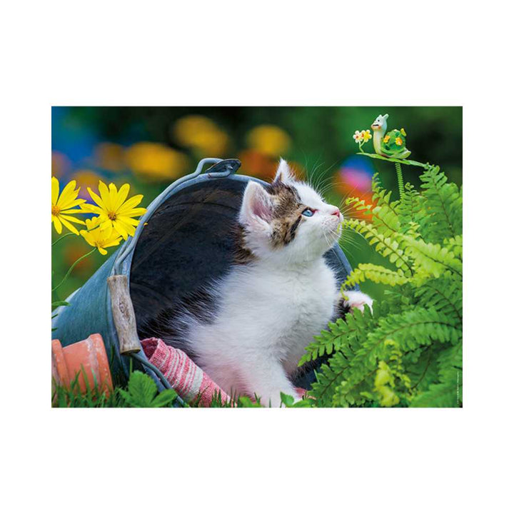 Petit chaton curieux (Puzzle 250 pcs) CASSE-TÊTE - 200 - 275 morceaux