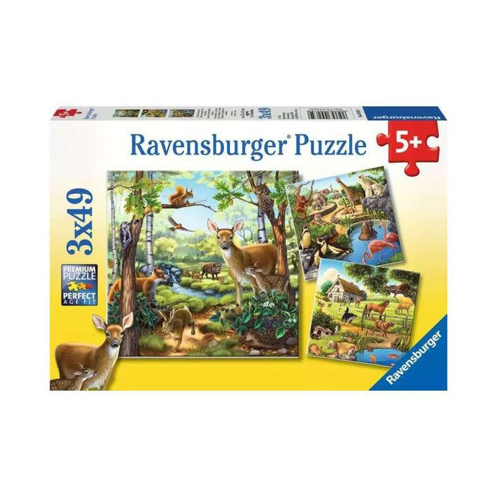 Forest/Zoo/Domestic Anim. (3x49 pcs) CASSE-TÊTE - 25-49 morceaux