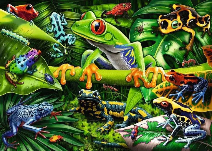 Puzzle 35: Amazing Amphibians CASSE-TÊTE - 25-49 morceaux