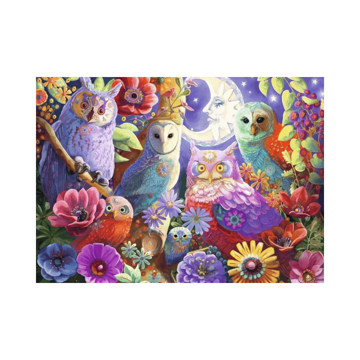 Puzzle 300: Night Owl Hoot CASSE-TÊTE - 300 - 375 morceaux