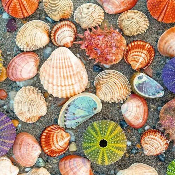 Puzzle Moments: By the Seashore (Puzzle 300 pcs) CASSE-TÊTE - 300 - 375 morceaux