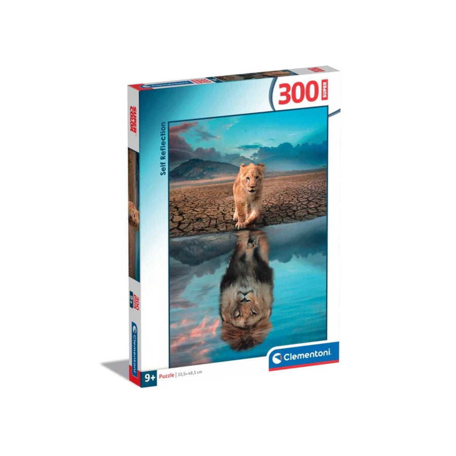 Réflexion (300 pcs) CASSE-TÊTE - 300 - 375 morceaux