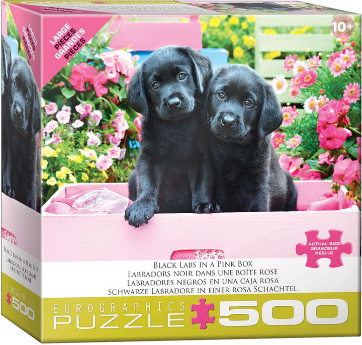 Black Labs in Pink Box (500 pcs) CASSE-TÊTE - 400 - 550 morceaux