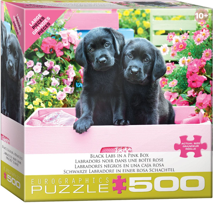 Black Labs in Pink Box (500 pcs) CASSE-TĂTE - 400 - 550 morceaux