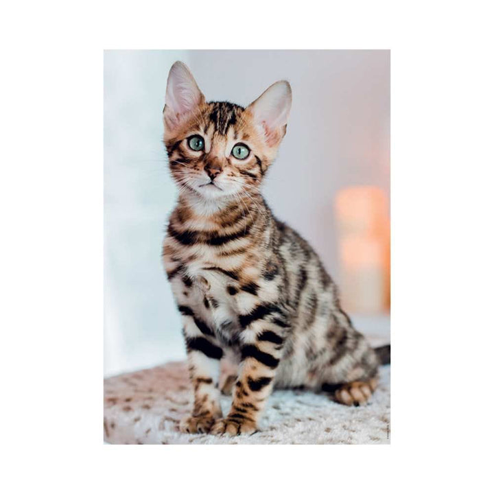 Chaton Bengal (Puzzle 500 pcs) CASSE-TÊTE - 400 - 550 morceaux