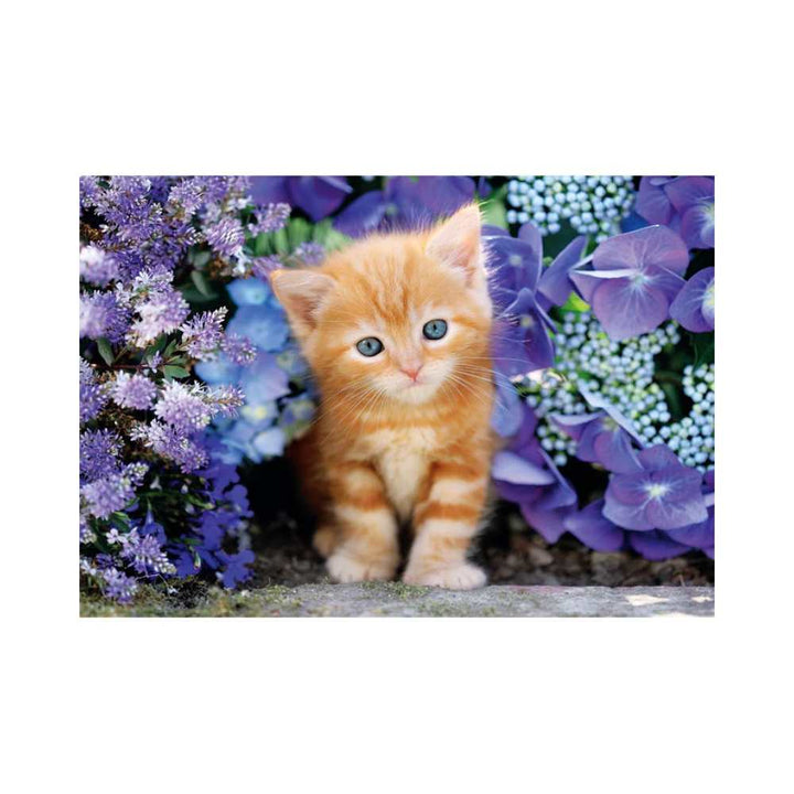 Chaton roux (500 pcs) CASSE-TÊTE - 400 - 550 morceaux