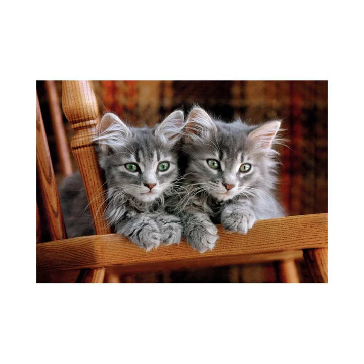 Chatons (500 pcs) CASSE-TÊTE - 400 - 550 morceaux
