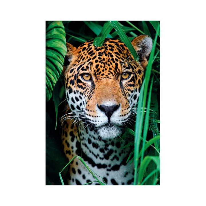 Jaguar dans la jungle (500 pcs) CASSE-TÊTE - 400 - 550 morceaux