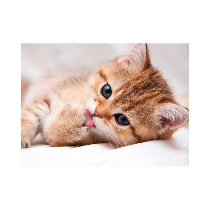 La toilette du chat (Puzzle 500 pcs) CASSE-TÊTE - 400 - 550 morceaux