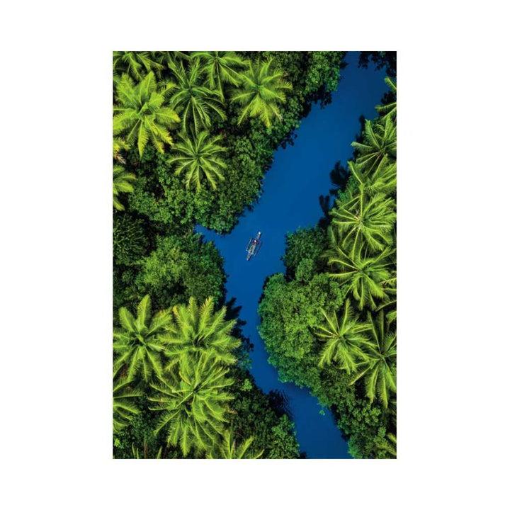 Vue aérienne tropicale (500 pcs) CASSE-TÊTE - 400 - 550 morceaux
