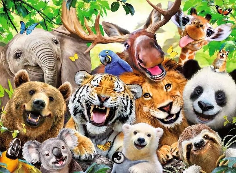 Exotic Animals Selfie (300 pcs) CASSE-TÊTE - 300 - 375 morceaux
