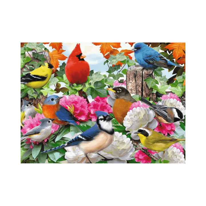 Garden Birds (500 pc) CASSE-TÊTE - 400 - 550 morceaux