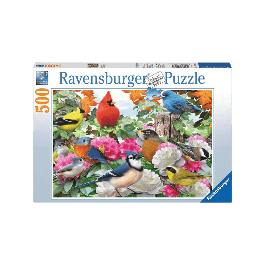 Garden Birds (500 pc) CASSE-TÊTE - 400 - 550 morceaux