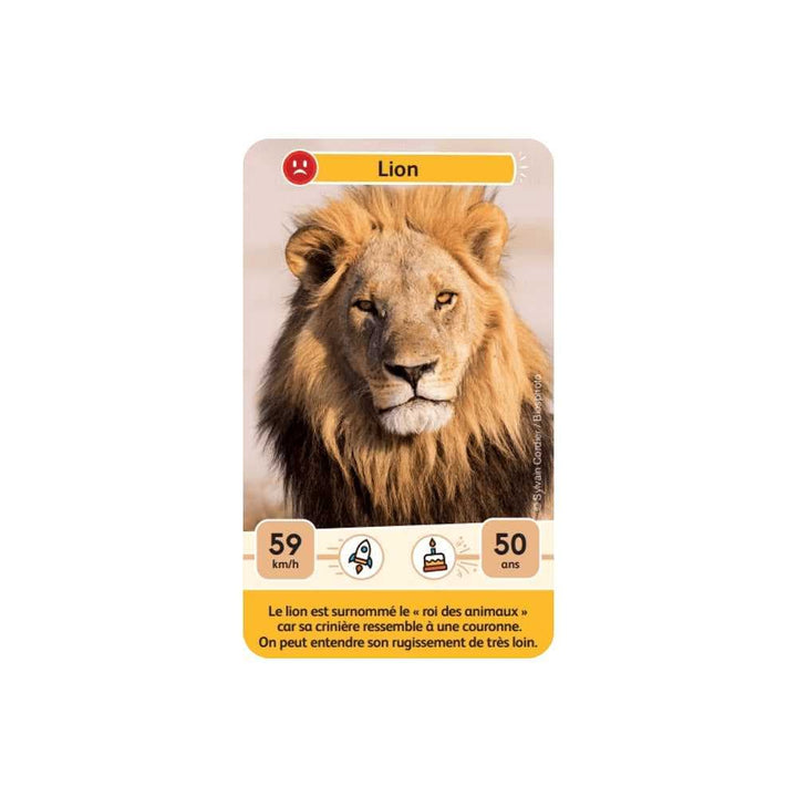 Défis Nature Junior / Rois de la savane (FR) JEUX - Éducatif