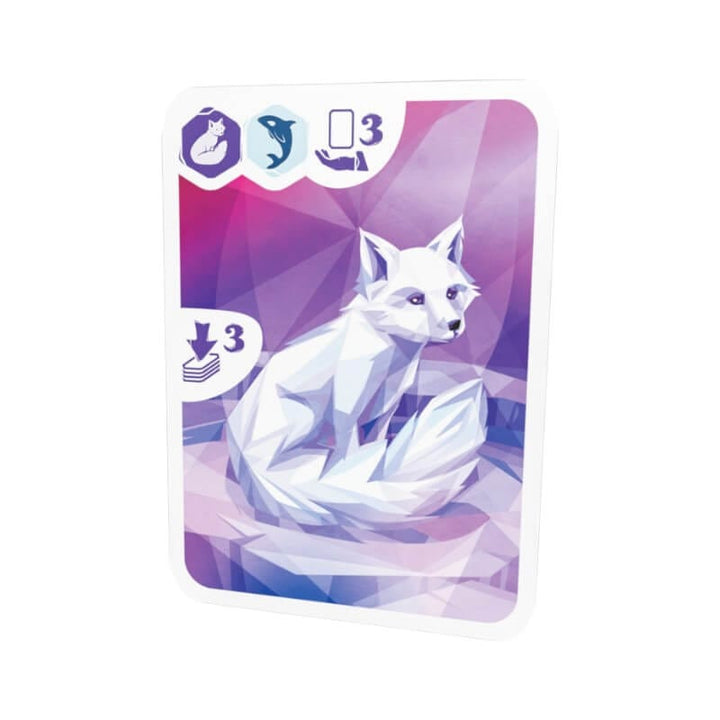 Arctic (ML) JEUX - Famille