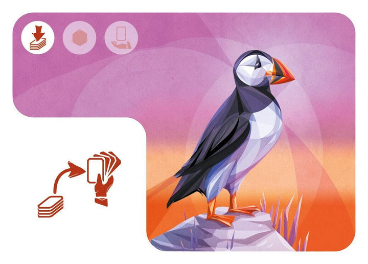 Arctic (ML) JEUX - Famille