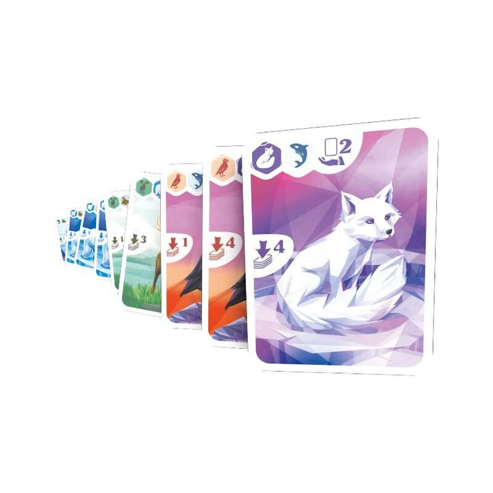 Arctic (ML) JEUX - Famille