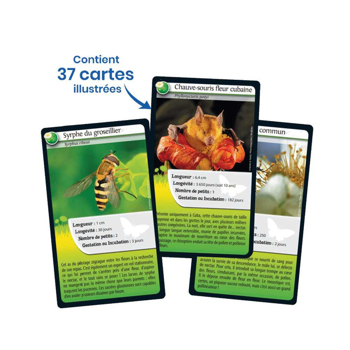 Défis Nature / Abeilles et autres pollinisateurs (FR) JEUX - Famille