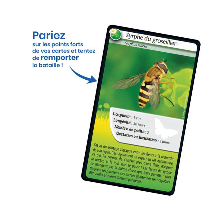 Défis Nature / Abeilles et autres pollinisateurs (FR) JEUX - Famille