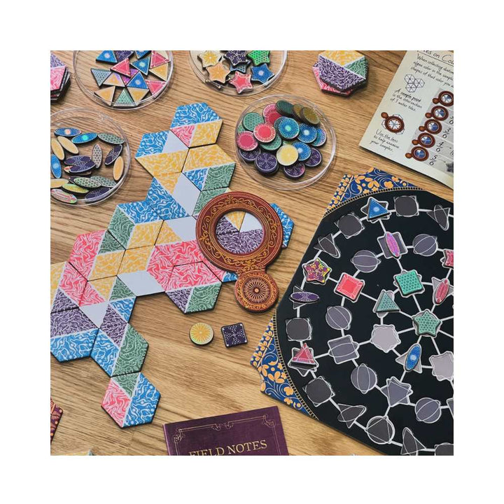 Diatoms (EN) JEUX - Famille