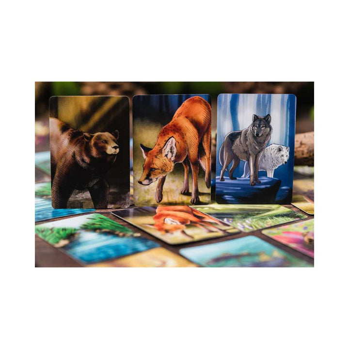 Écosystème - Forêt (FR) JEUX - Famille