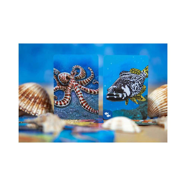 Écosystème - Océan (FR) JEUX - Famille