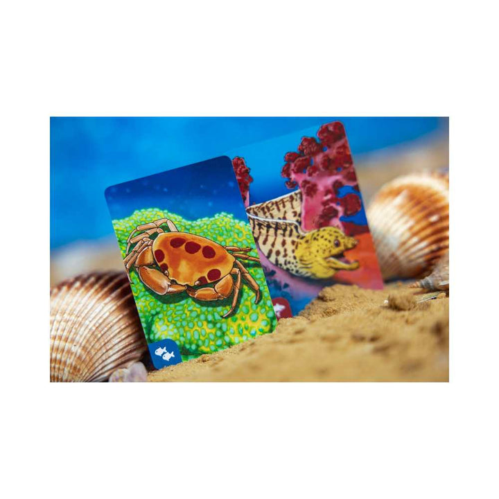 Écosystème - Océan (FR) JEUX - Famille