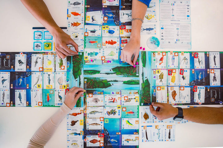 Finspan (EN) JEUX - Famille