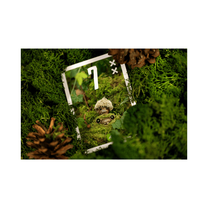 Pixies (ML) JEUX - Famille