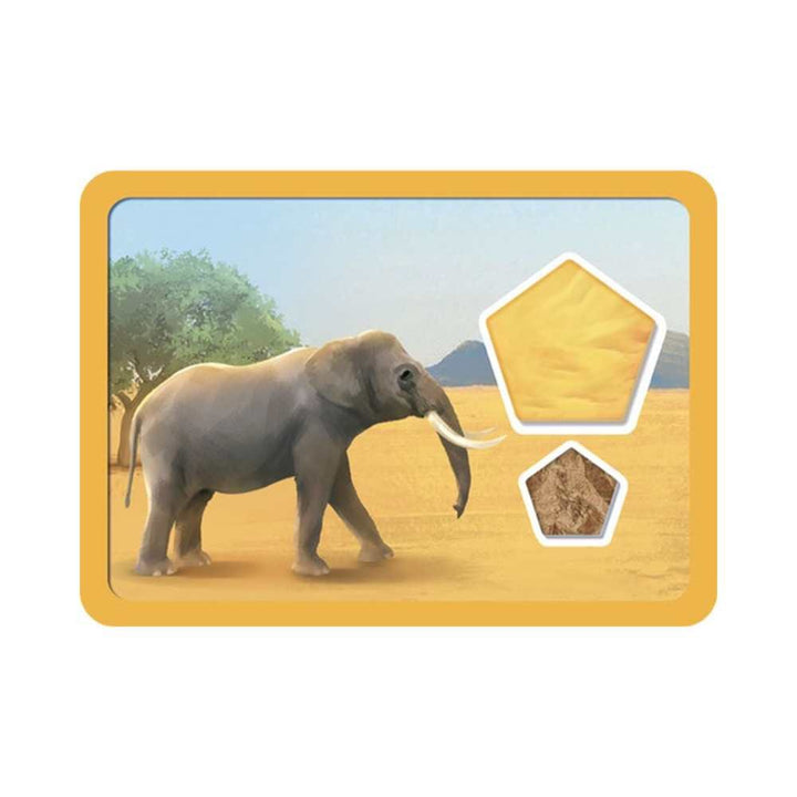 Planet (ML) JEUX - Famille