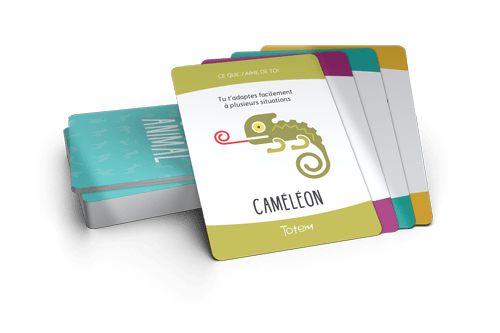 Totem - Jeu qui fait du bien (FR) JEUX - Famille