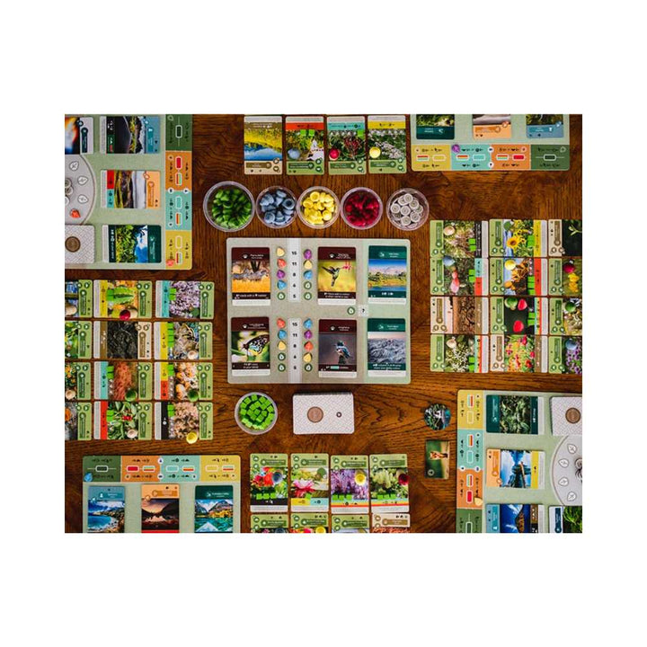 Earth (EN) JEUX - Stratégie - Stratégie intermédiaire