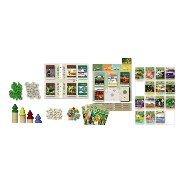 Earth (FR) JEUX - Stratégie - Stratégie intermédiaire