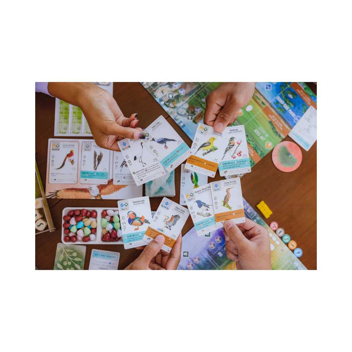 Wingspan: Exp. Asia (EN) JEUX - Stratégie - Stratégie intermédiaire