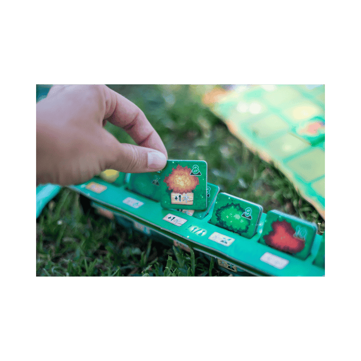 Living Forest: ext. Kodama (FR) JEUX - Famille