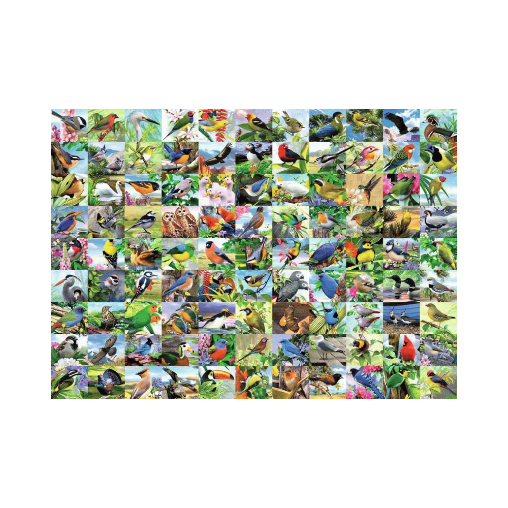 Puzzle 300: 99 Delightful Birds CASSE-TÊTE - 300 - 375 morceaux