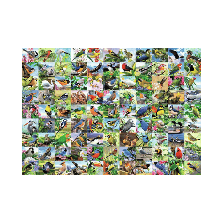 Puzzle 300: 99 Delightful Birds CASSE-TÊTE - 300 - 375 morceaux