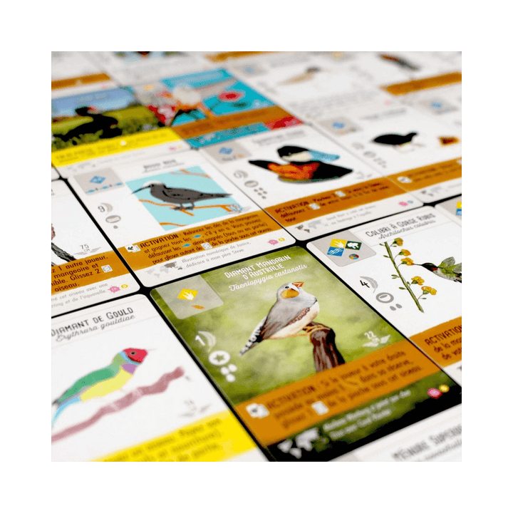 Wingspan: Fan Art Pack (FR) JEUX - Stratégie - Stratégie léger