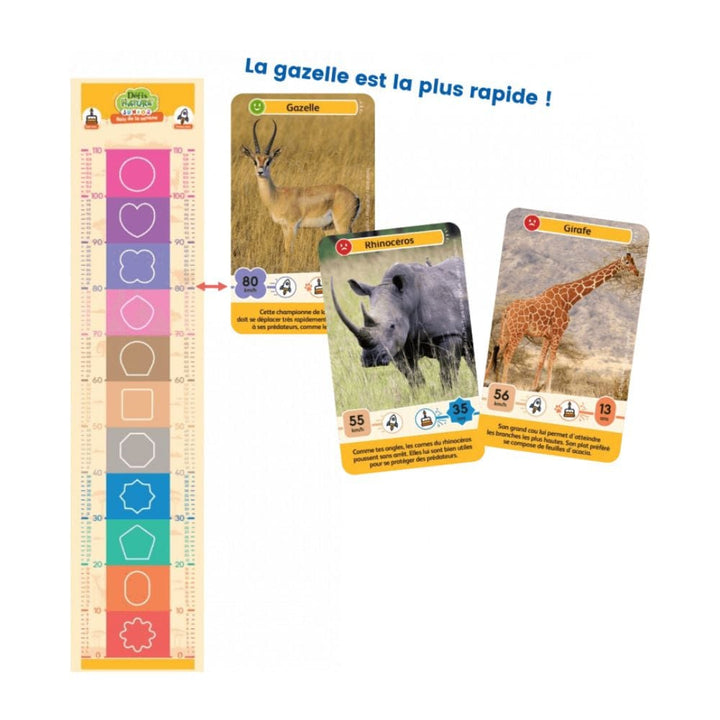 Défis Nature Junior / Rois de la savane (FR) JEUX - Éducatif