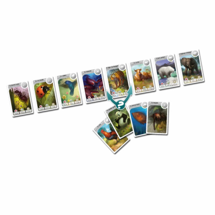 Cardline Animaux (FR) JEUX - Enfants - Enfants 7 ans +