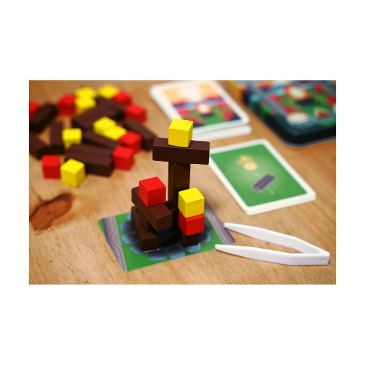 Feu de camp (FR) JEUX - Famille